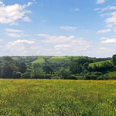 فيلا Ynywsen Dairy Flat Llanfynydd المظهر الخارجي الصورة