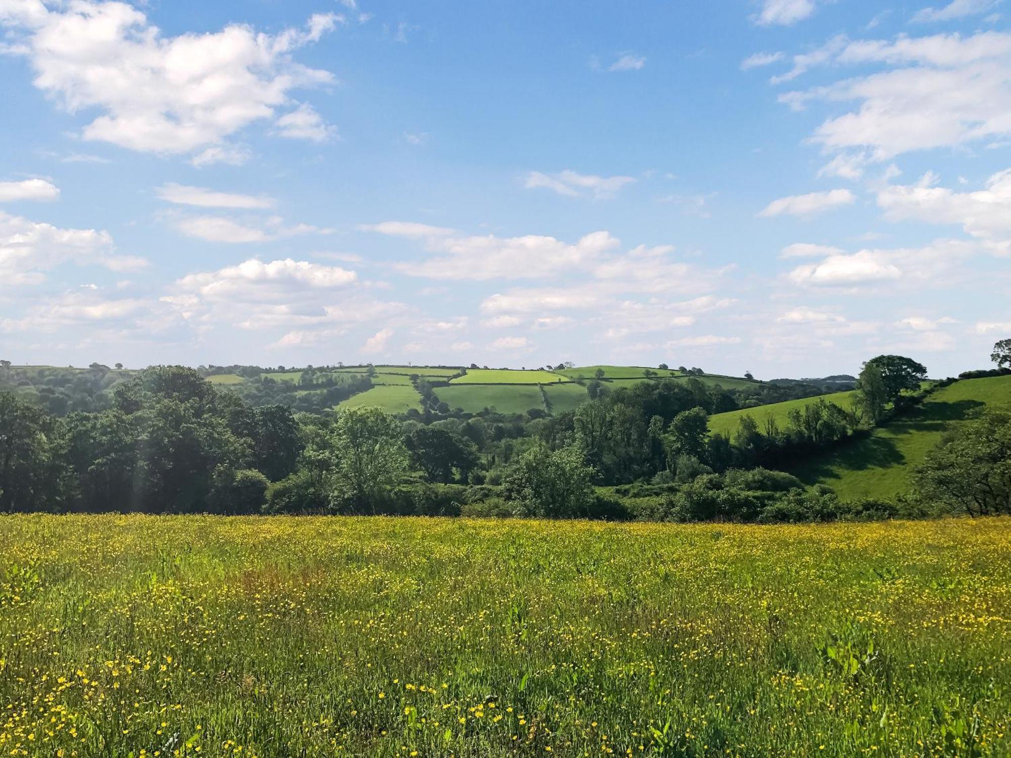فيلا Ynywsen Dairy Flat Llanfynydd المظهر الخارجي الصورة